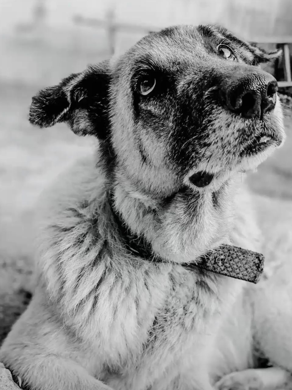 Nora